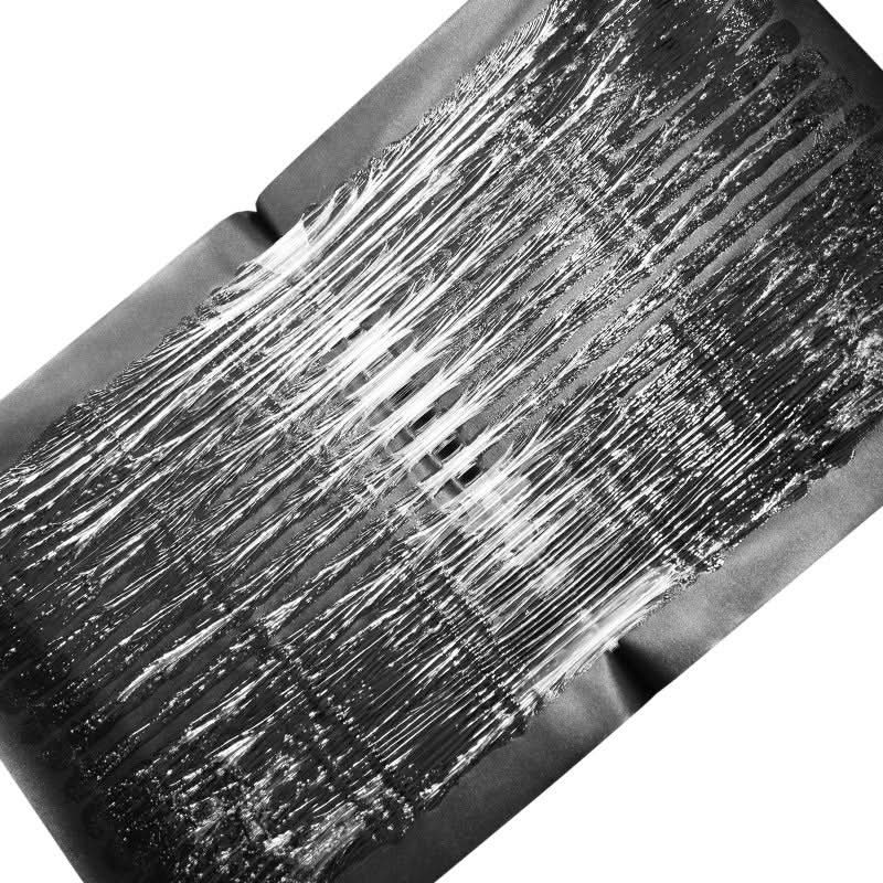 TRAPZONE MAX – Große Ungiftige Klebefalle für Effektive Schädlingsbekämpfung